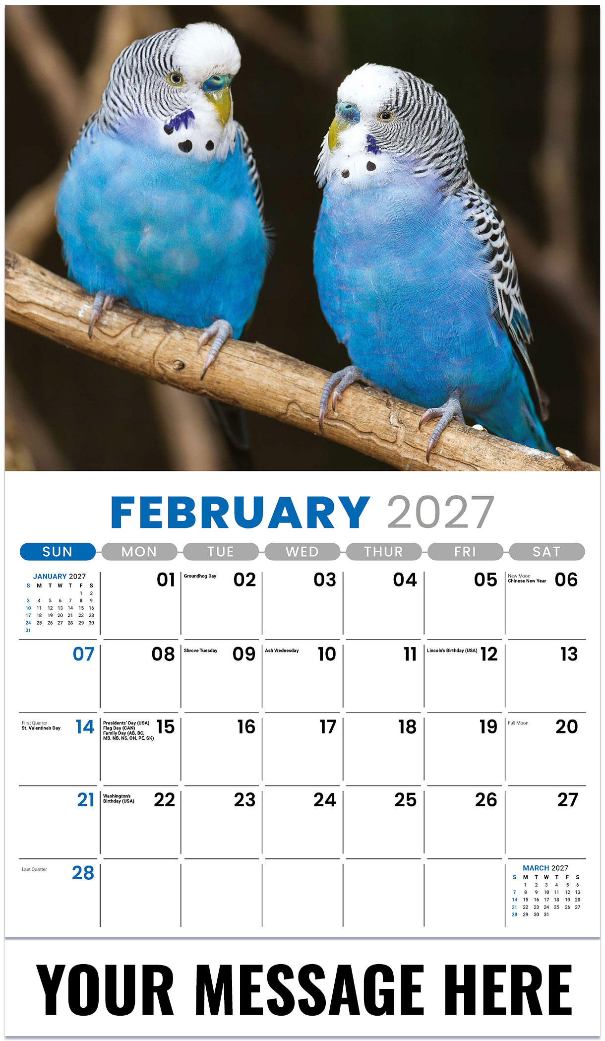 Galleria Pets - 2027