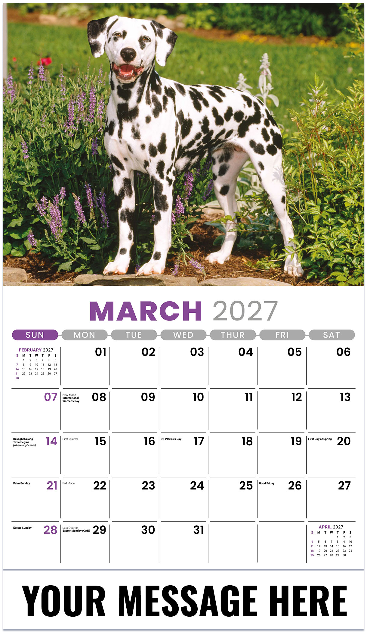 Galleria Pets - 2027