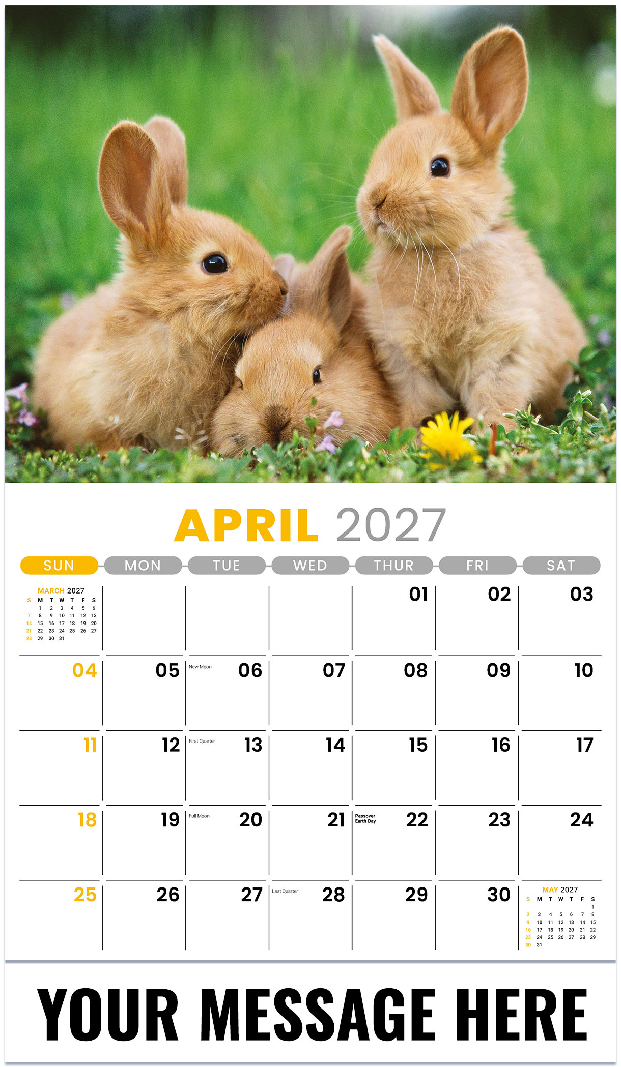 Galleria Pets - 2027