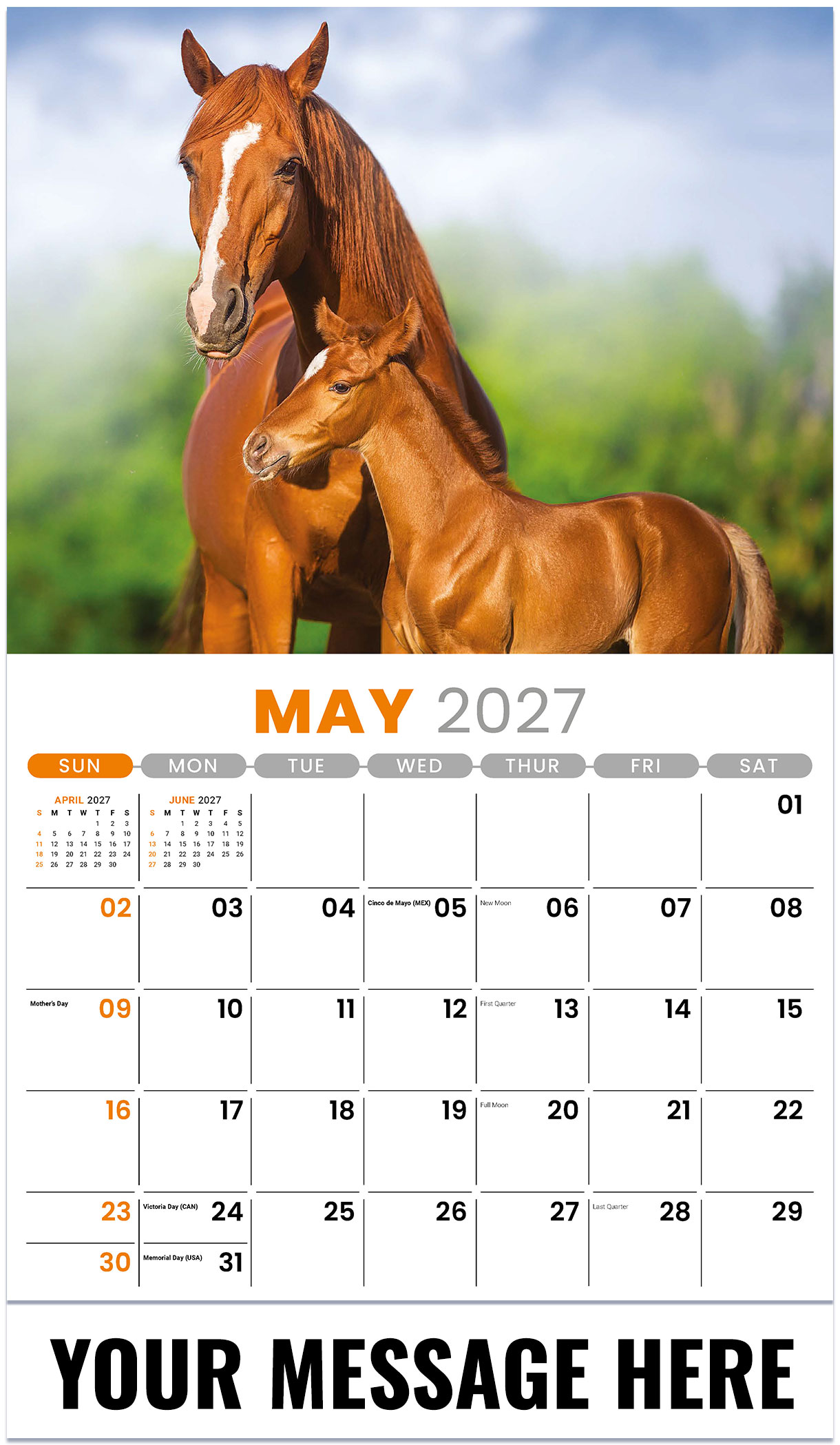 Galleria Pets - 2027