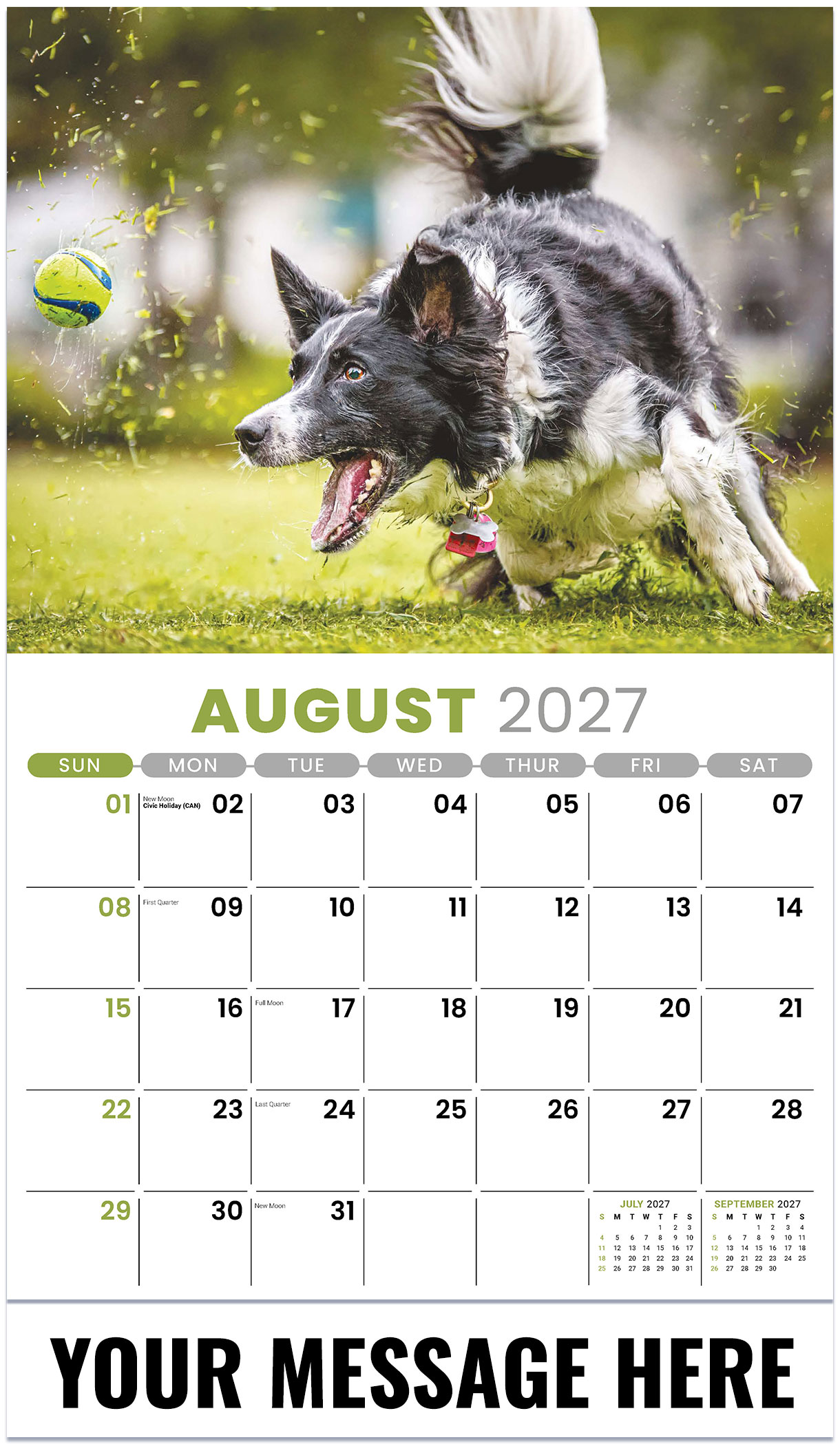 Galleria Pets - 2027