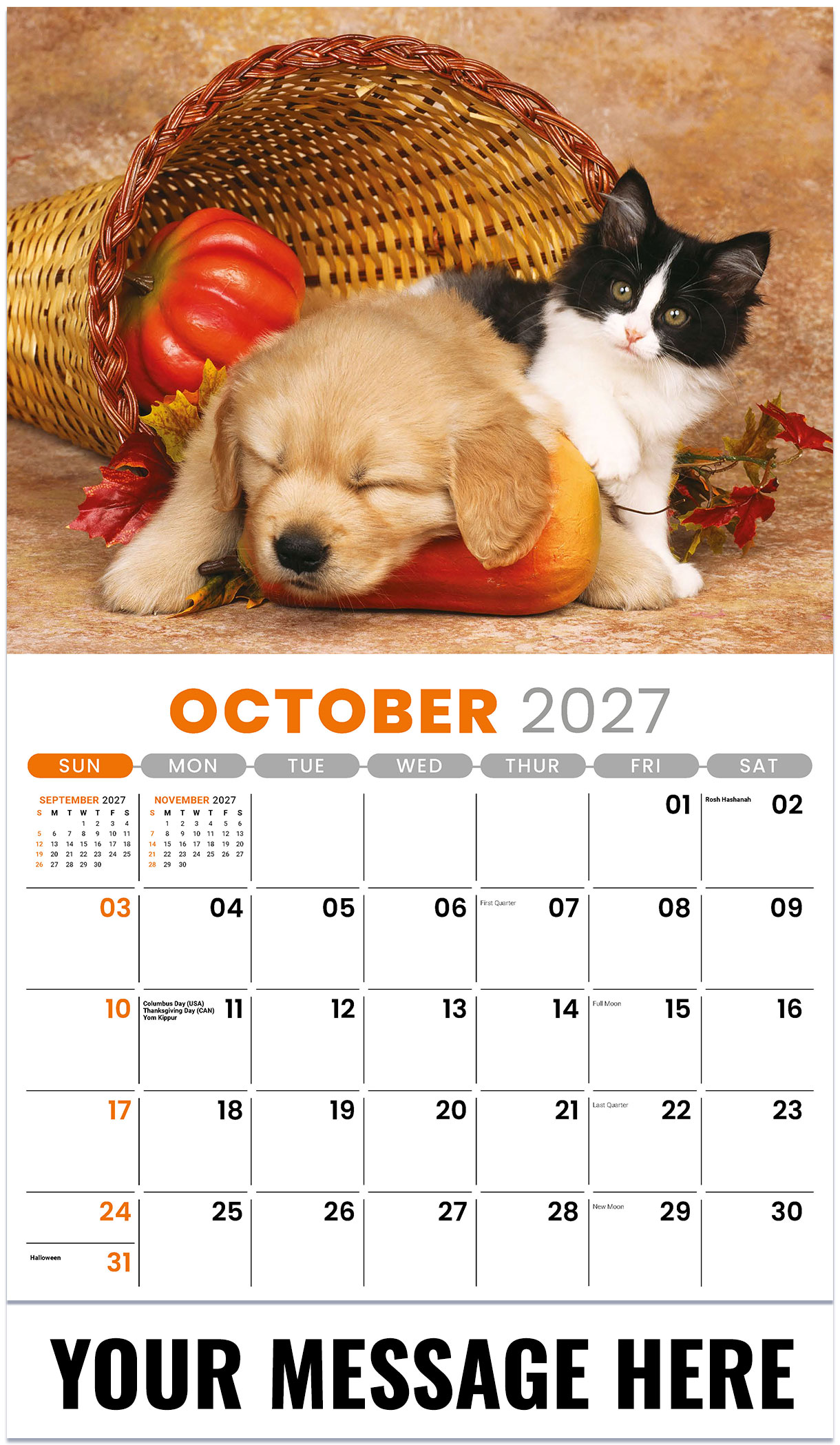Galleria Pets - 2027