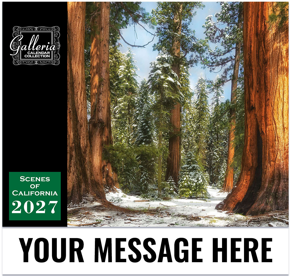 Scenes Of California Wall Calendar