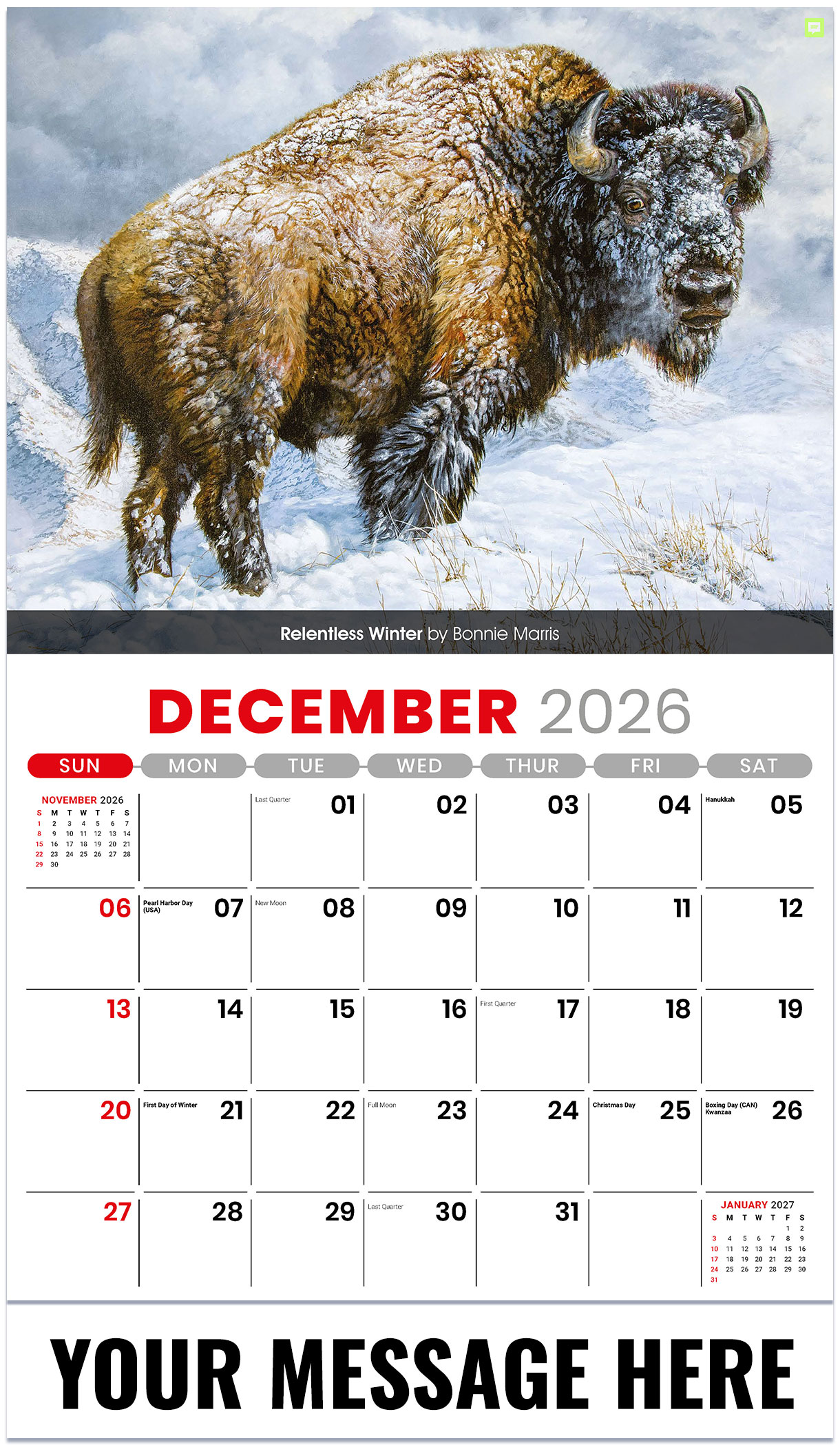 Galleria Wildlife Portraits - 2027