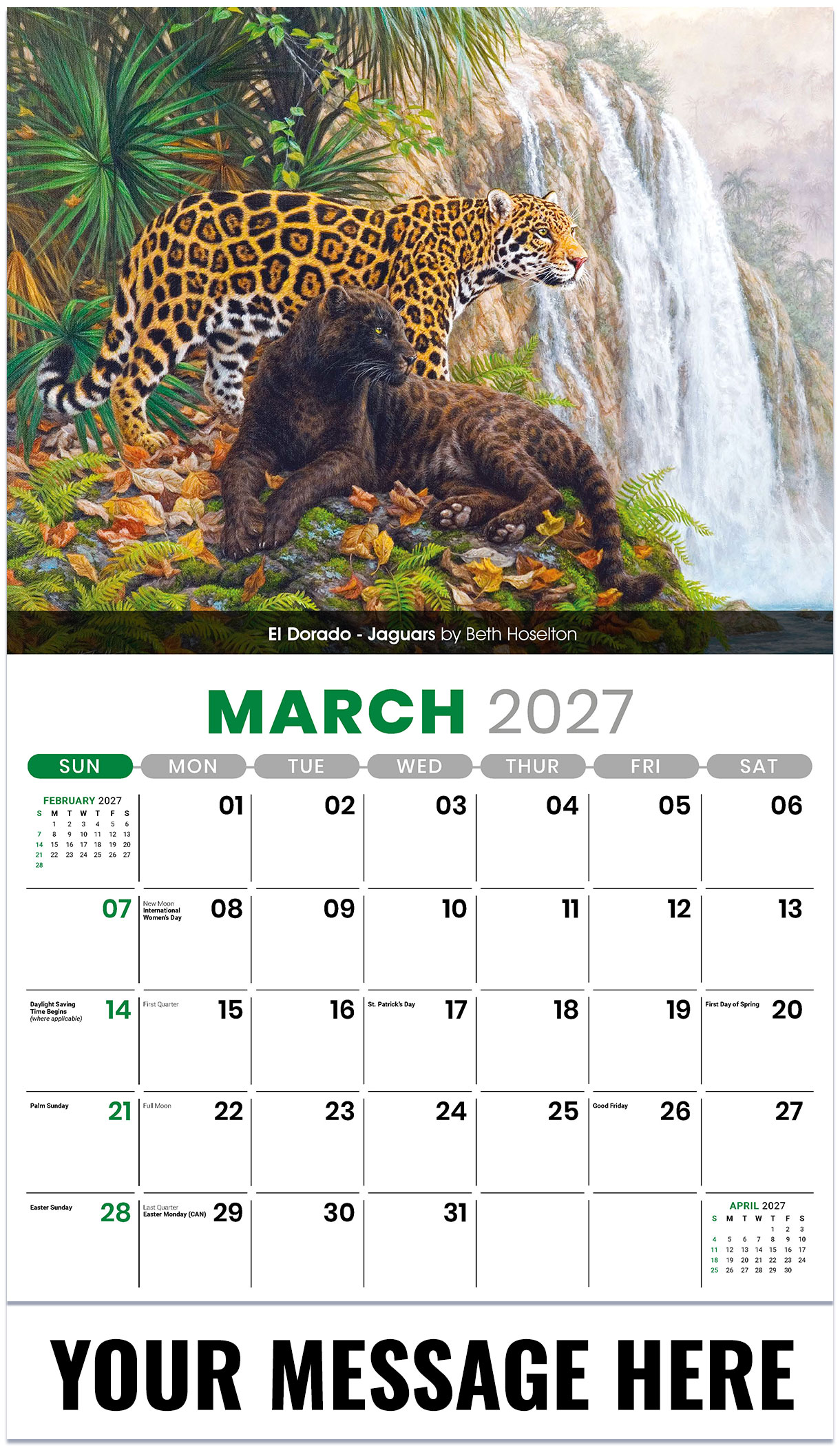 Galleria Wildlife Portraits - 2027