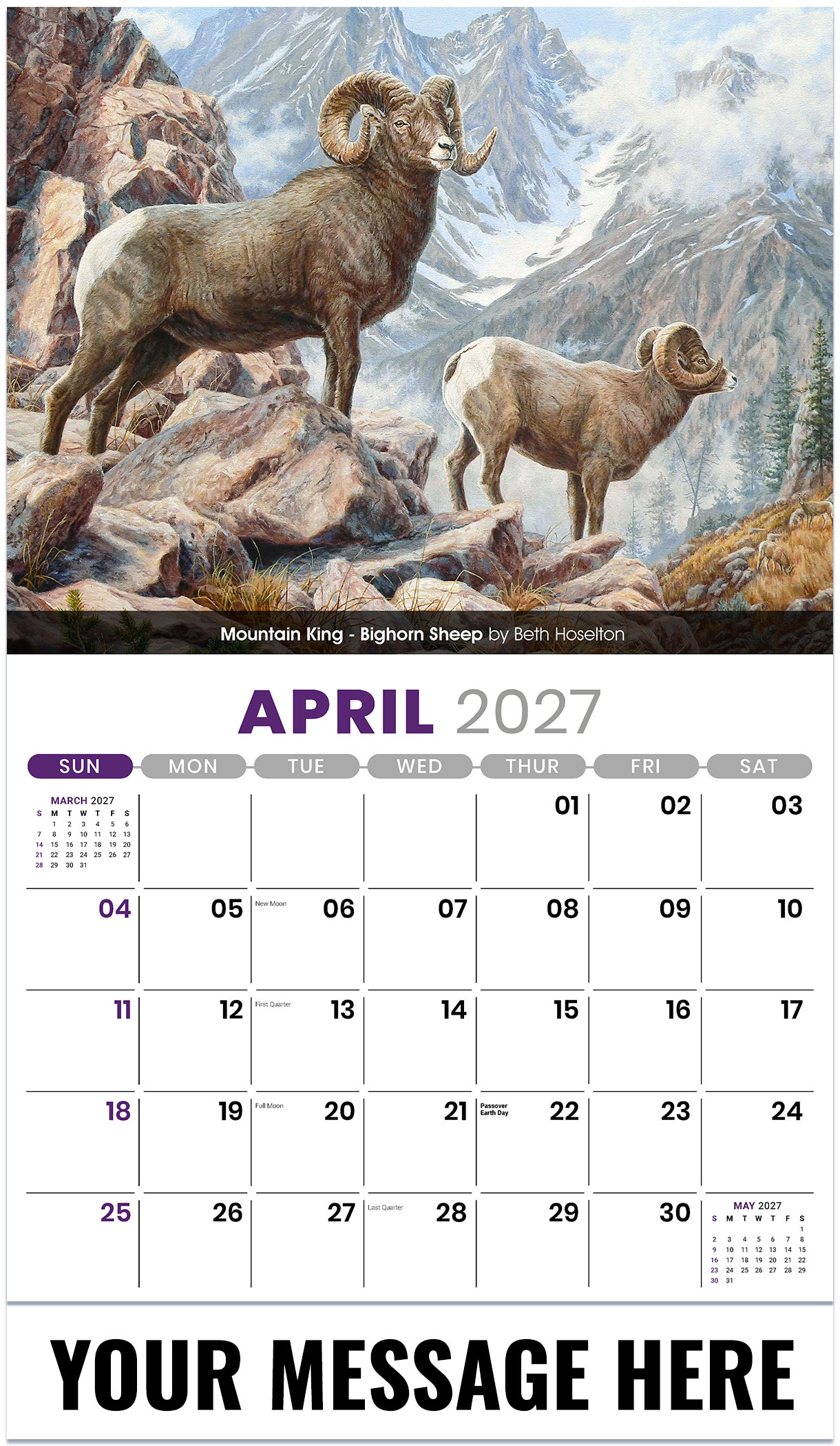 Galleria Wildlife Portraits - 2027