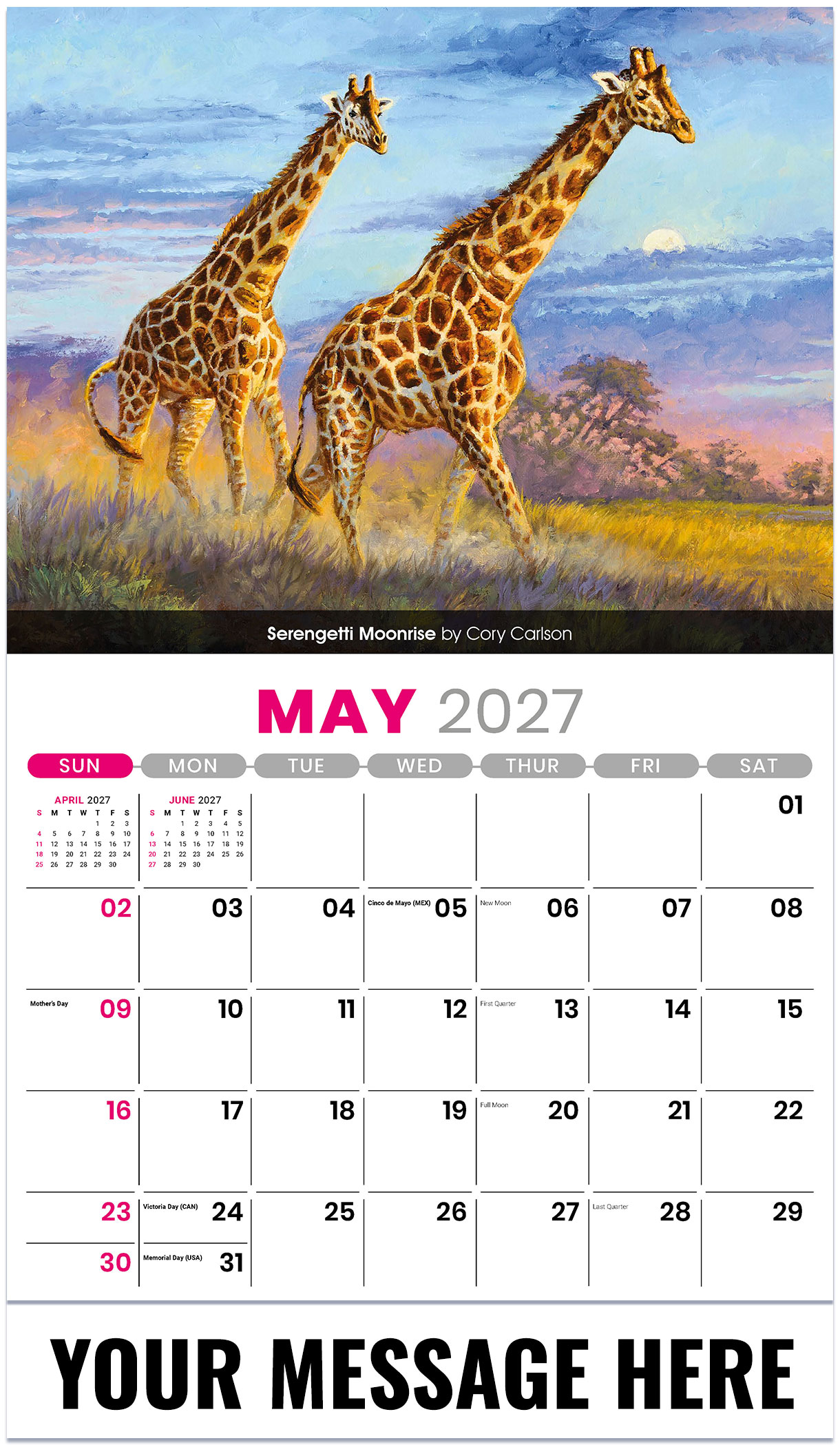 Galleria Wildlife Portraits - 2027