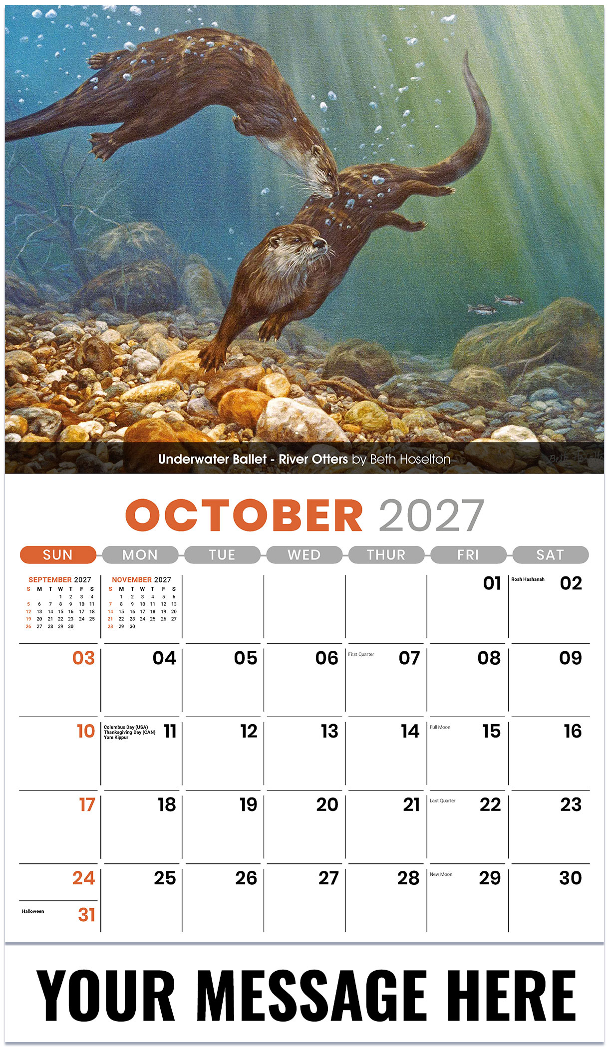 Galleria Wildlife Portraits - 2027