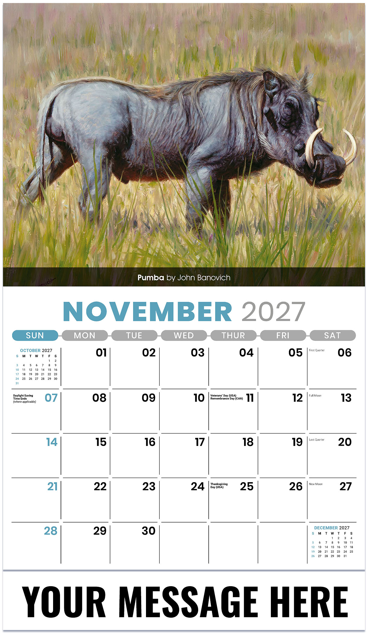 Galleria Wildlife Portraits - 2027
